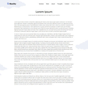 Lorem Ipsum "repository" | BlueSky Perth Custom Web + App Development